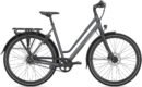 Gazelle Chamonix S11 Low Step.jpg