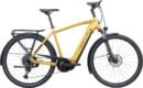 HERCULES 225015000653 futura i 10 he gold matt 800x800.jpg