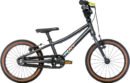 Puky LS Pro 16 2 Flowmatic.jpg